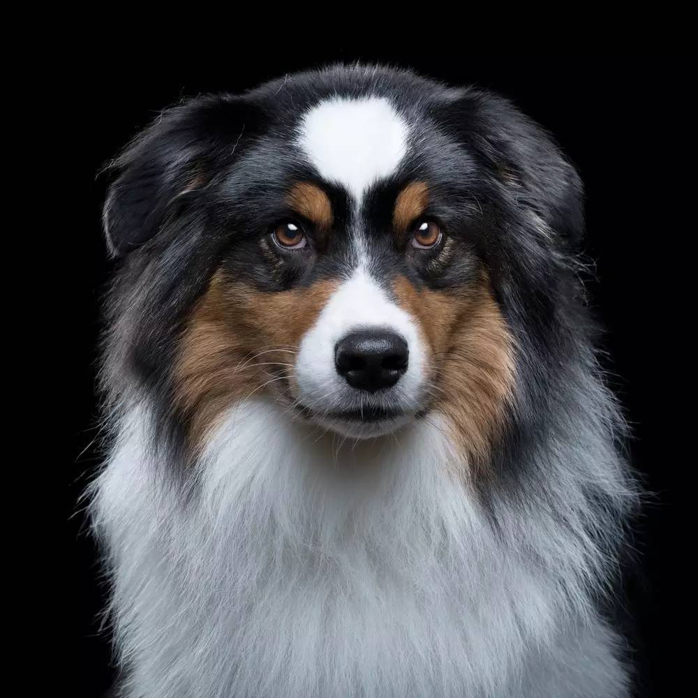 如何用80分的颜值,拍出180分的证件照?