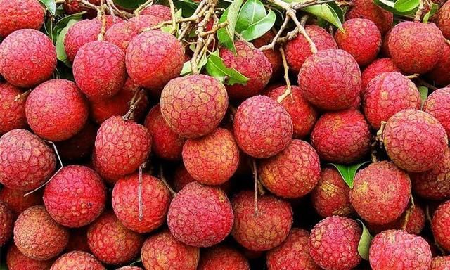 家用水果酿酒设备酿造荔枝酒,荔枝酿酒方法