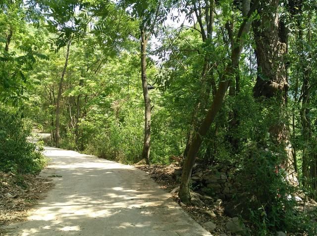 谁说贵州贫穷落后?且看今朝贵州山村美如画!