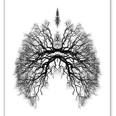 今天是什么节日:世界防治结核病日