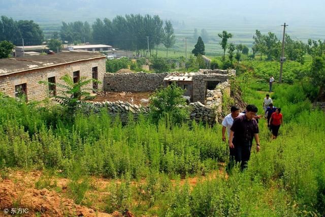 2018年,农村土地改革的四大任务,三大补助,农民