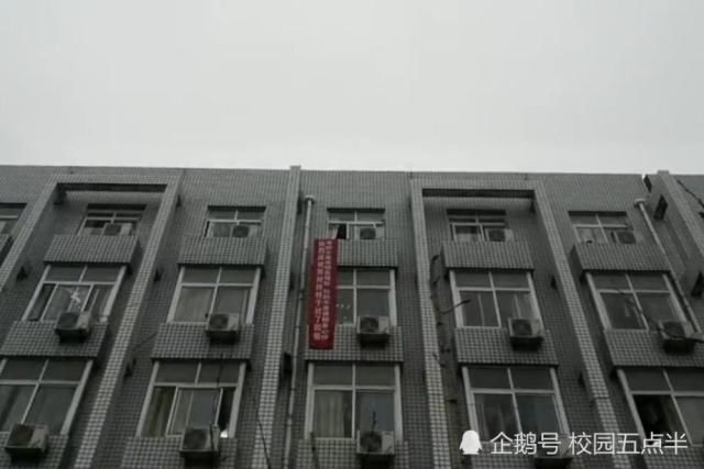 女生三次才考过英语四级,宿舍楼拉条幅庆祝