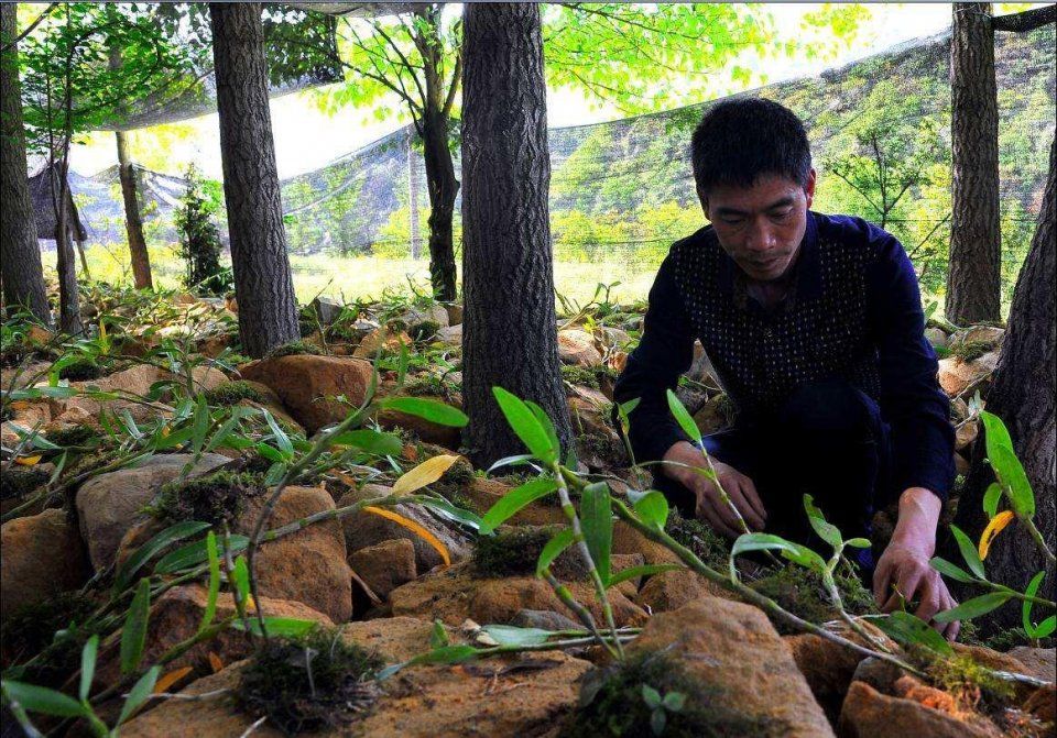 想回农村创业,有好的建议吗?