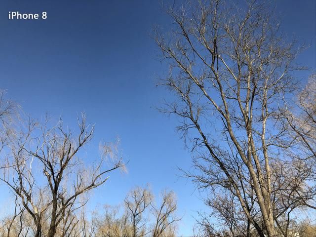 苹果A11芯片助力,iPhone 8吊打安卓旗舰!