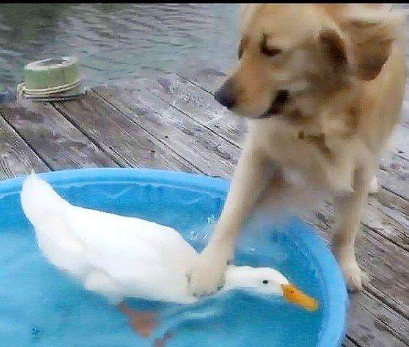 搞笑图片幽默段子笑话:长大了找不到对象,你又