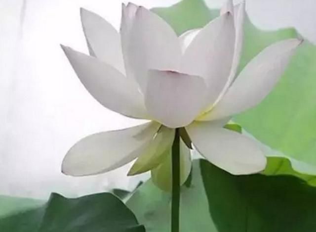 与同事有误会想和解拉不下脸咋办?送你4锦囊