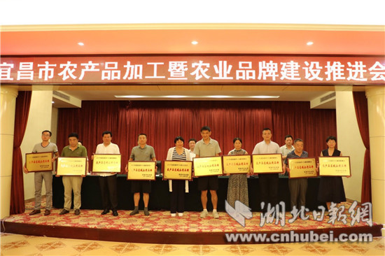 宜昌市年度农产品加工企业三十强和 宜昌市年度农产品加工企业三十强和
