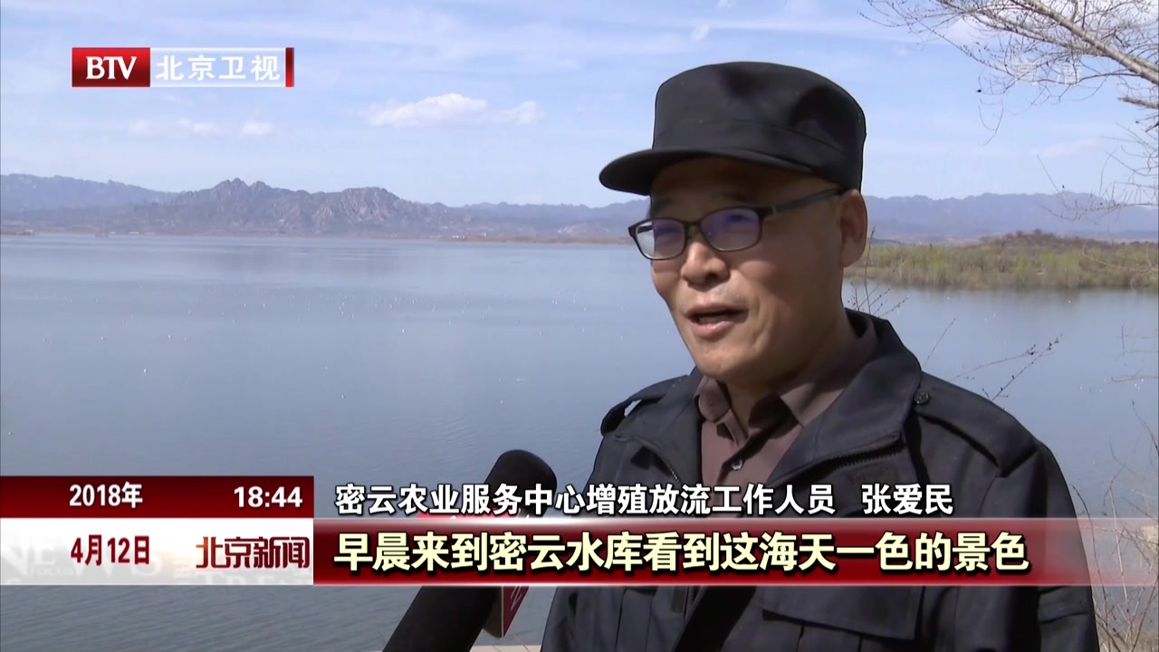 北京:千万只夏候鸟  栖息觅食密云水库 北京:千万只夏候鸟  栖息觅食密云水库