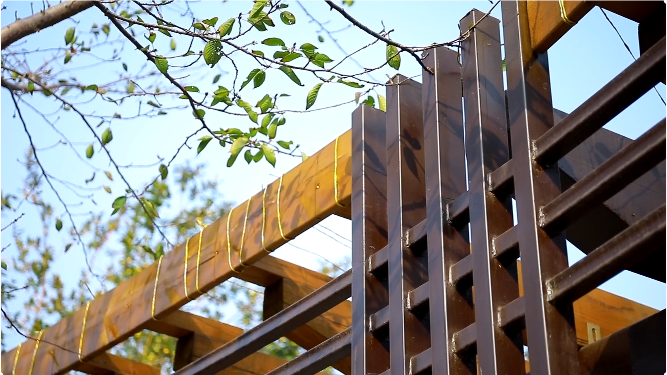 “南山观樱”景区建成 玉渊潭公园更显清新雅致 “南山观樱”景区建成 玉渊潭公园更显清新雅致