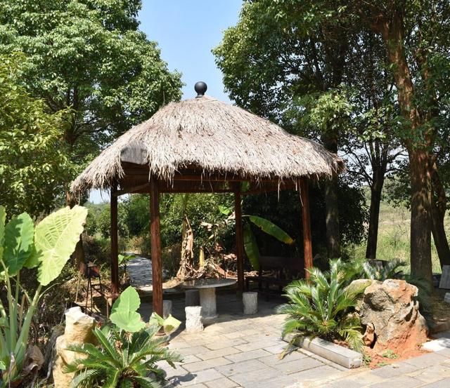 党的十九大中乡村振兴战略下的休闲农业前景广