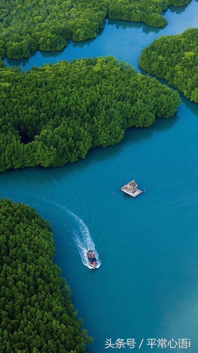 济群法师:佛法所说精进是什么?