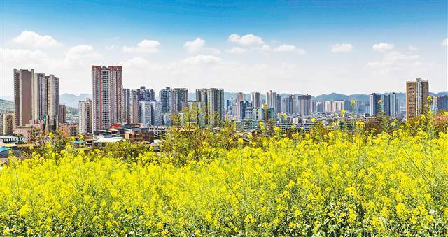【领航新征程】重庆市南川石漠化治理 向“土地癌症”说不