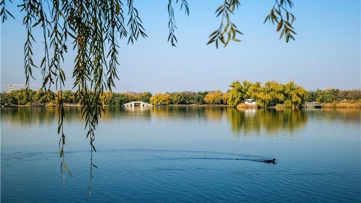 “中国之治”内在逻辑关系的探索与认识 “中国之治”内在逻辑关系的探索与认识