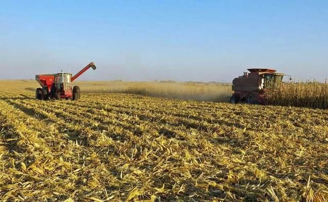 作为粮食大国,美国为何低价出口粮食?