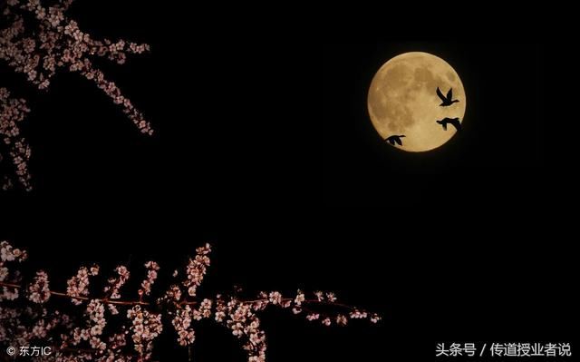 小学生应会的一百个多音字 分别 用一句话就学