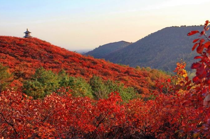 北京重阳节登高好去处:香山 北京重阳节登高好去处:香山