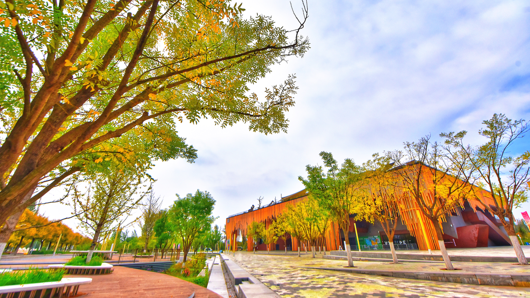 北京世园公园秋意渐浓 目之所及皆是美景~ 北京世园公园秋意渐浓 目之所及皆是美景~