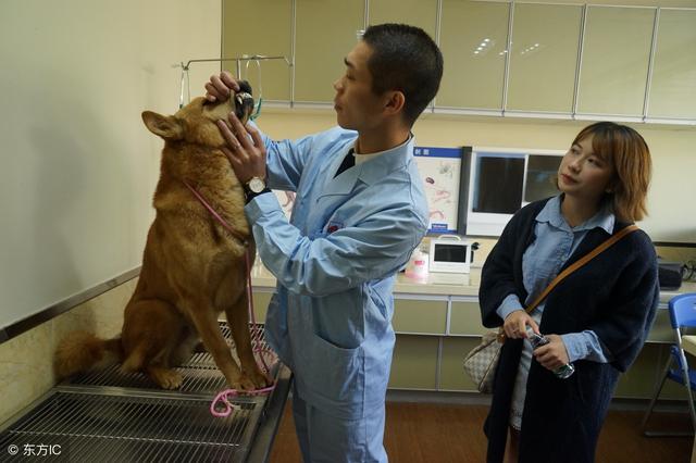 哈希娱乐- 哈希游戏平台- 哈希游戏官方网站信号山：消费者网购鹦鹉后住进医院公共卫生风险岂能包邮到家