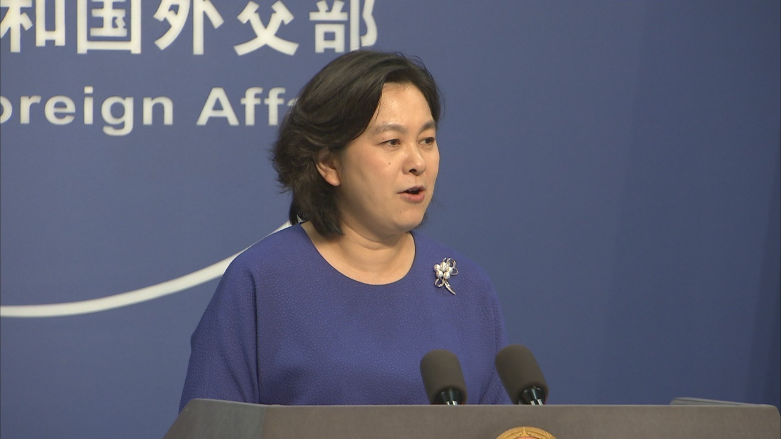 何妨吟啸且徐行外交部引用苏轼名句谈中美关系