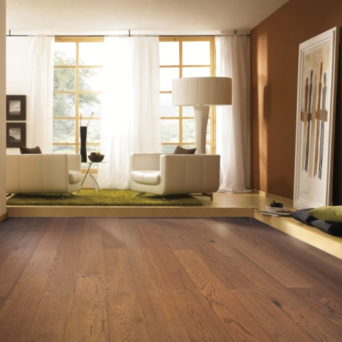 借势美国市场,大艺树力保连续两年100%增长