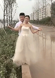 笑死不偿命的二十三张图，美女待遇就是不同些，谁想躺狗那位置?