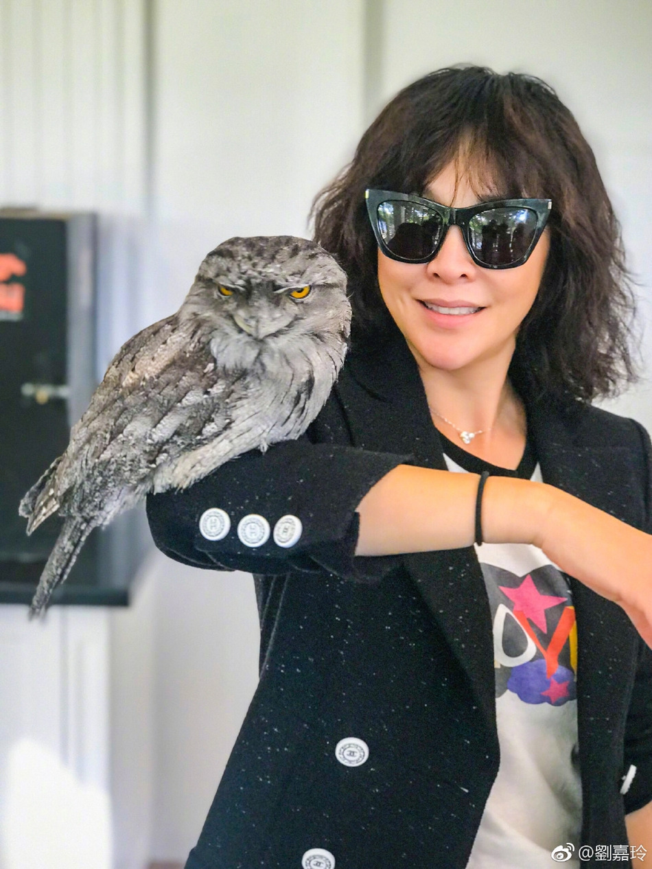 近日，刘嘉玲前往澳洲旅游度假，她在微博晒出一组在当地动物园游玩的照片，配文称：“动物是人类最亲密的朋友”。照片中她手举鳄鱼肩缠蟒蛇，与动物亲密接触毫无惧色。不少网友纷纷感叹道“嘉玲姐姐真是佩服你五体投地哈哈哈”、“？？？胆真大，真是皮皮玲”