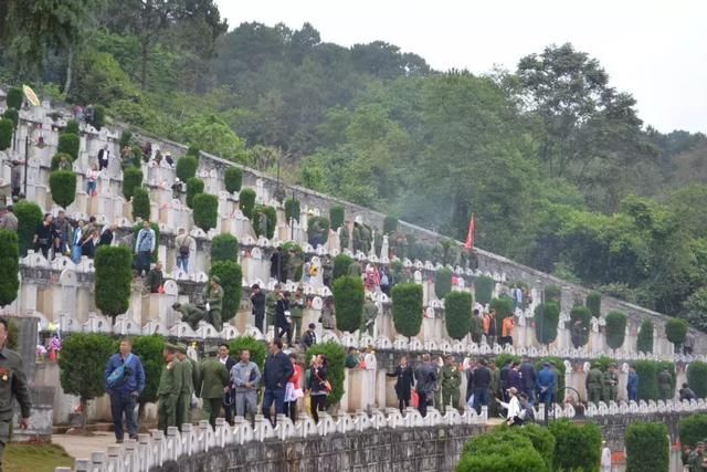 哥哥:现在不打仗了,妹妹来接你回家!