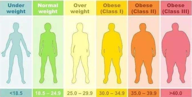 BMI体重指数为何影响试管婴儿成功率