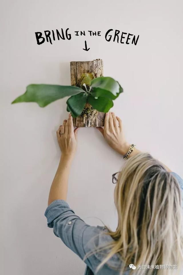 我说鹿啊,你的角怎么都绿了?!火遍INS的网红植