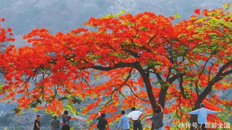 四川省最宜居的一座城市, 养老这座城市在适合