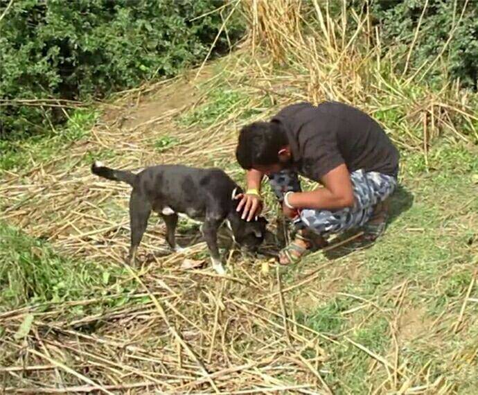 狗狗的脑袋被钢筋卡住 被好心人解救后不愿离去