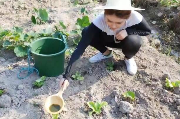 她是前斗鱼一姐,被冯提莫赶下台后生活窘迫,如