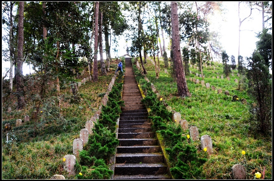 被英国人出卖的中国远征军