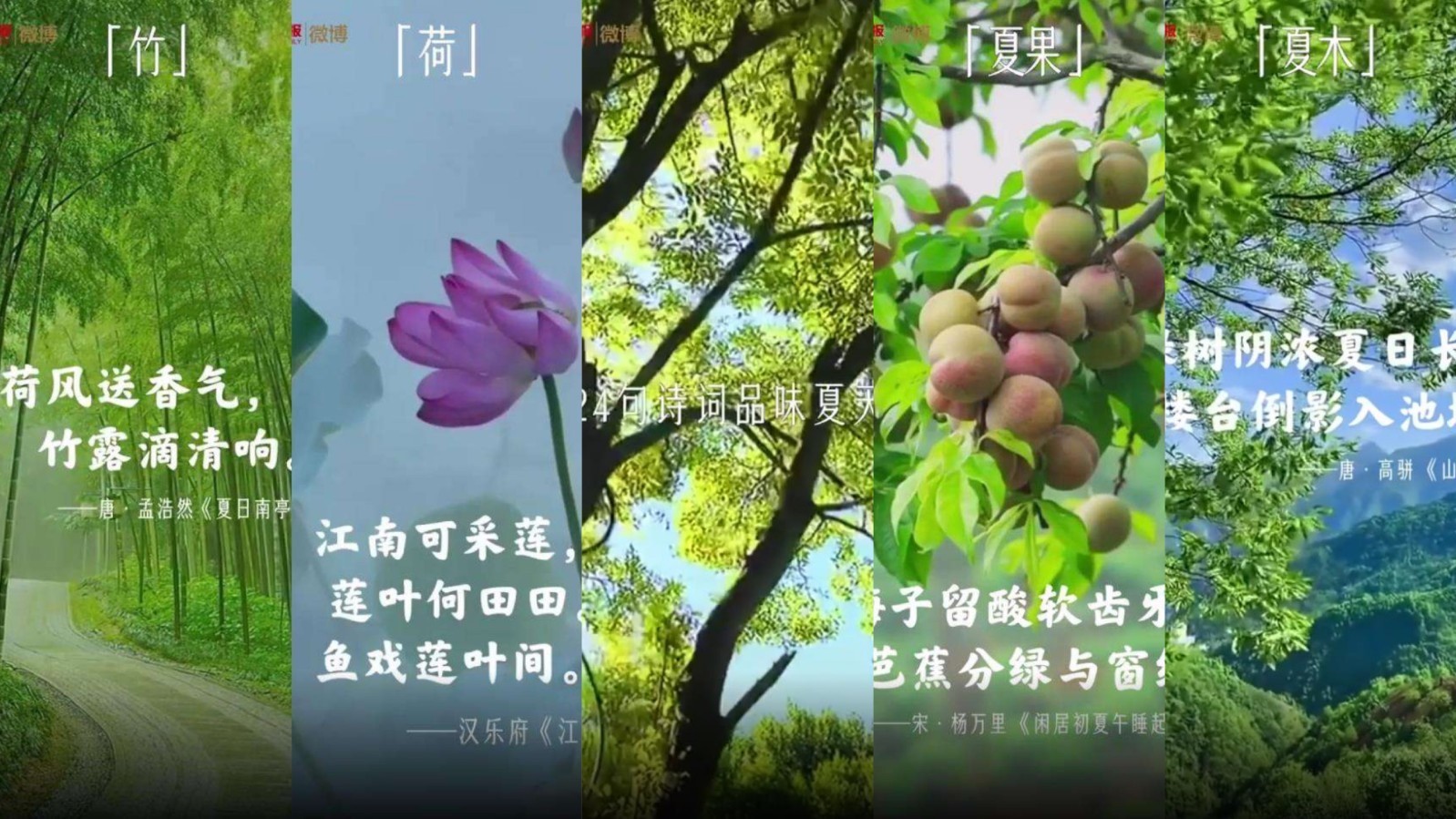 ​如果用一句话形容夏天，你会怎么说？24句诗词品味夏天