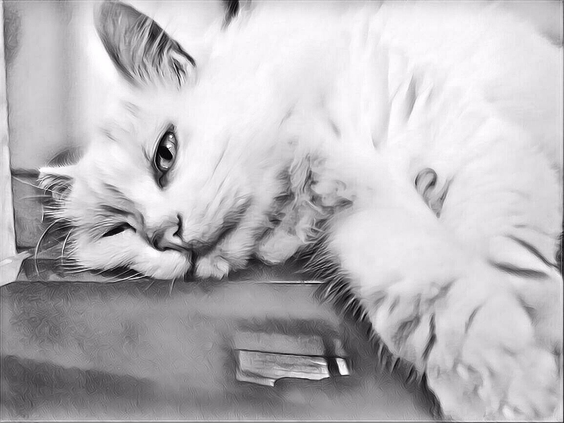 不能错过的福利!历届奥斯卡最佳影片奖名单