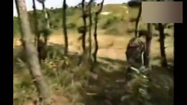 图为日媒拍摄下的画面