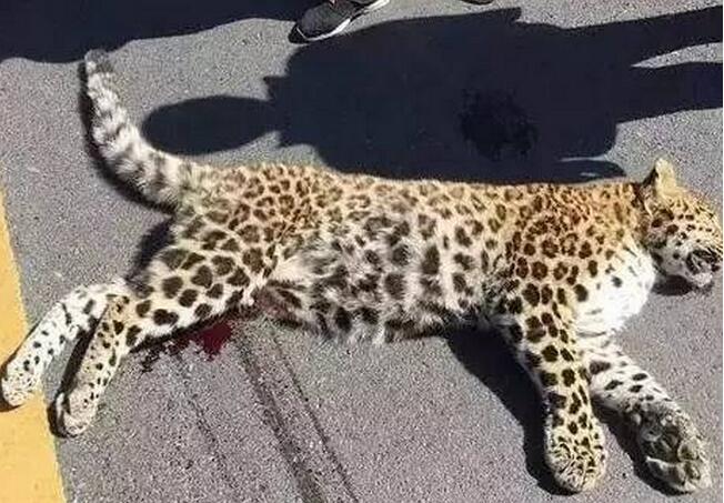 事发地点位于晋城市陵川县.