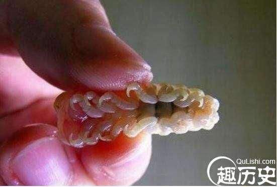 超恐怖的外星寄生虫,贝蒂寄生虫