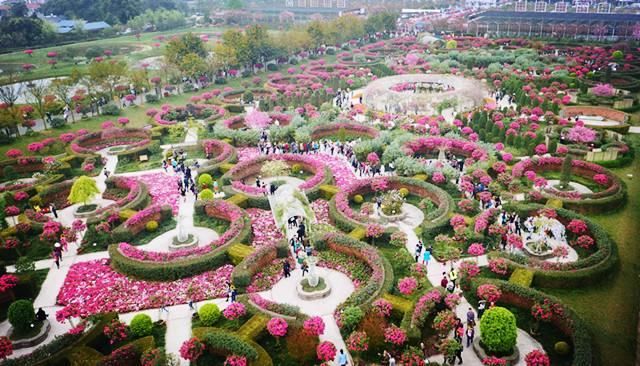 成都不远处还有这等赏花胜地,清明小长假一天都可以打来回了