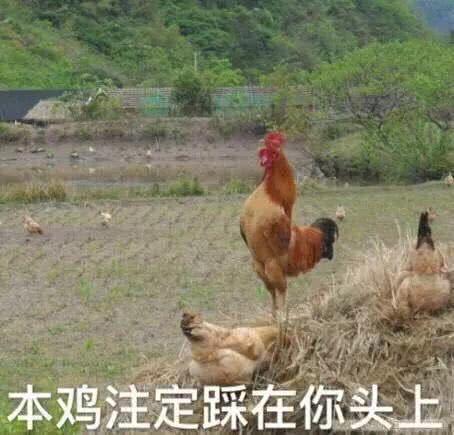 大二相亲女称不嫁5000万富二代灵魂就被毁了