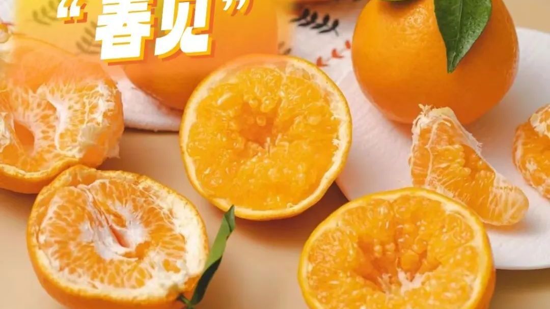 pápá柑还是bābā柑？“最善良的水果”，真的懂它吗？_北京时间
