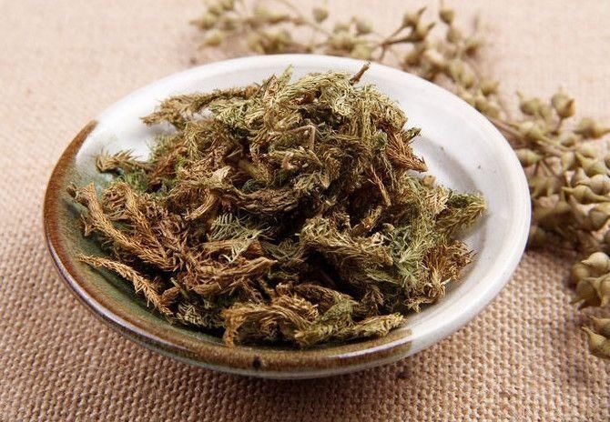 人称"龙须草"长相特别,一种治关节疼痛的良药,你们认识它吗