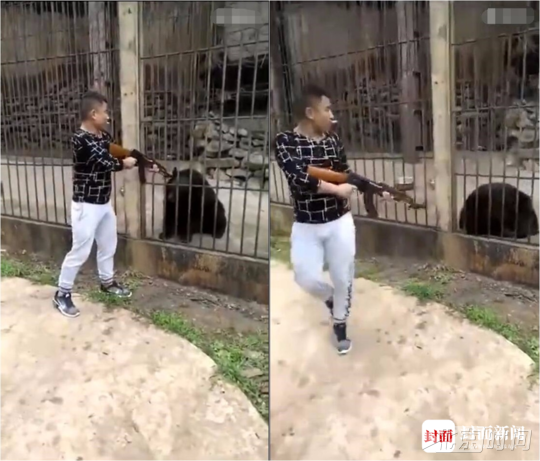 男子疑持步枪将黑熊打死 警方回应