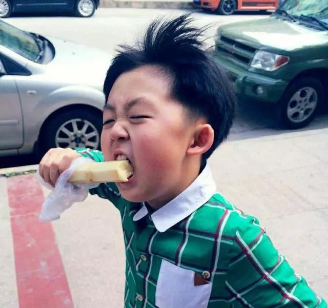 外国小伙好奇为什么中国人喜欢啃竹子网友:有