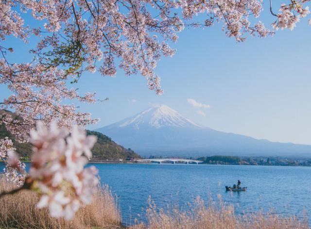 中国游客为什么喜欢去日本旅游呢?网友:风景美