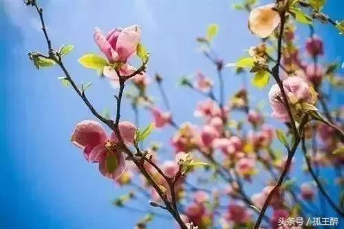 张一山倒下了!年仅25岁,宋丹丹哭的拉不起来!