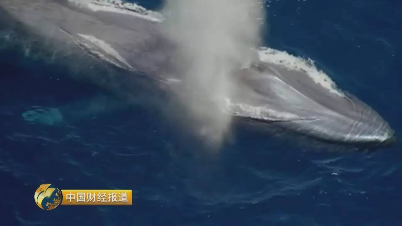 世界第一!全球最大海上钻井平台 让你大开眼界 世界第一!全球最大海上钻井平台 让你大开眼界