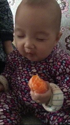 搞笑GIF:熊孩子脾气倔，跟山羊顶架