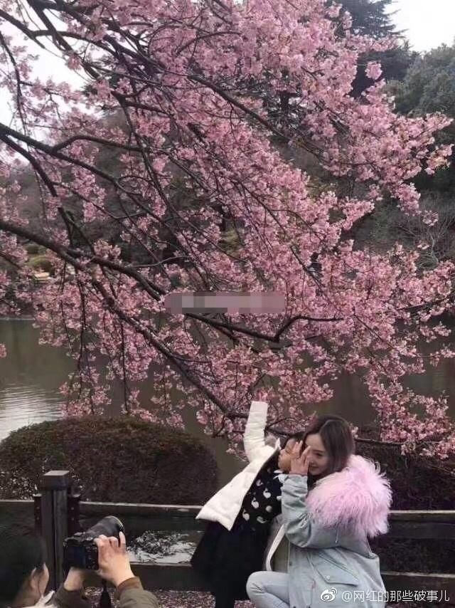 李小璐带甜馨开心游日本,PGONE也即将飞往日