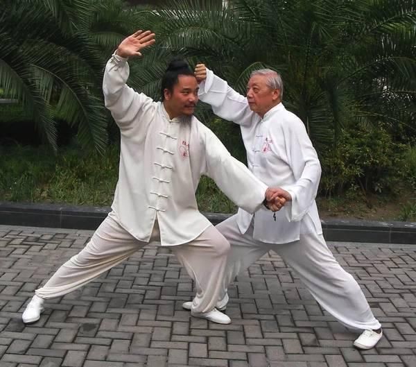 咏春大师丁浩的功夫是跟电视里学的,真正的咏